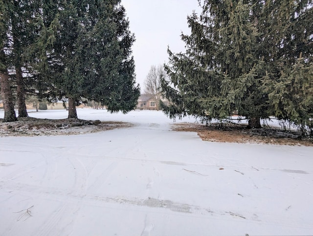 view of yard covered in snow