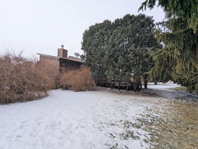 view of yard covered in snow