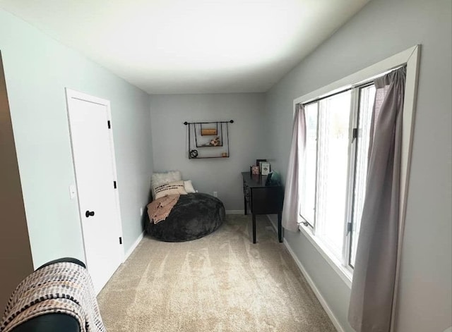 sitting room featuring carpet flooring