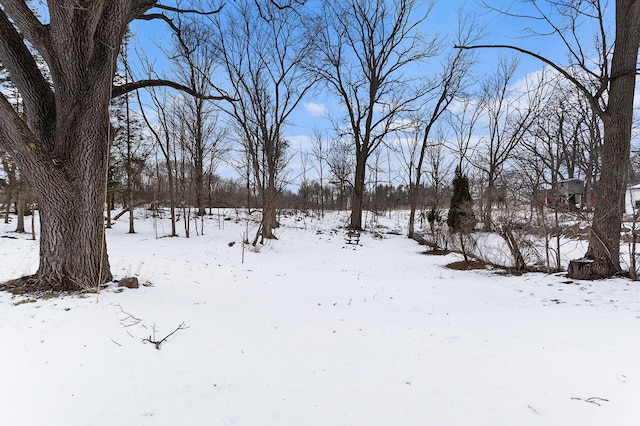 view of yard layered in snow
