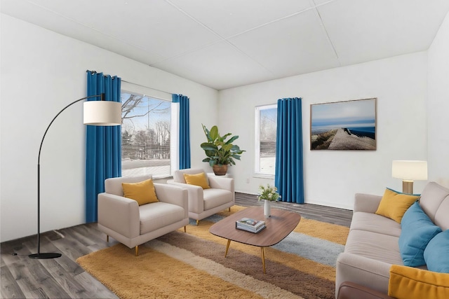 living room featuring hardwood / wood-style flooring and a healthy amount of sunlight