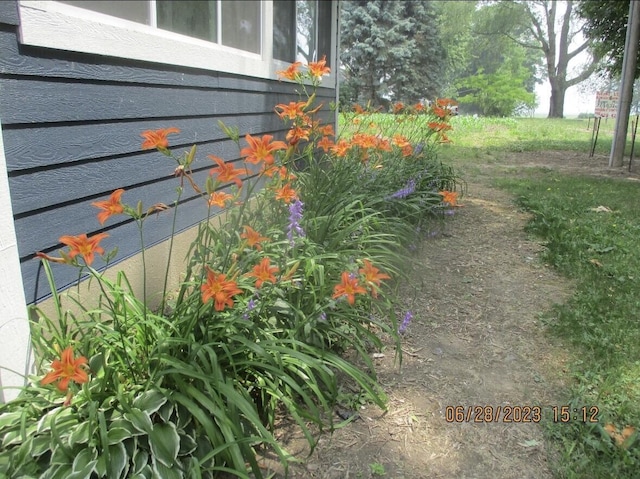 6735 S Scottdale Rd, Berrien Springs, MI 49103 - view of yard