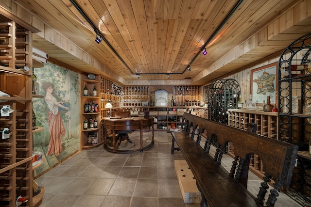 wine cellar featuring wooden ceiling and rail lighting