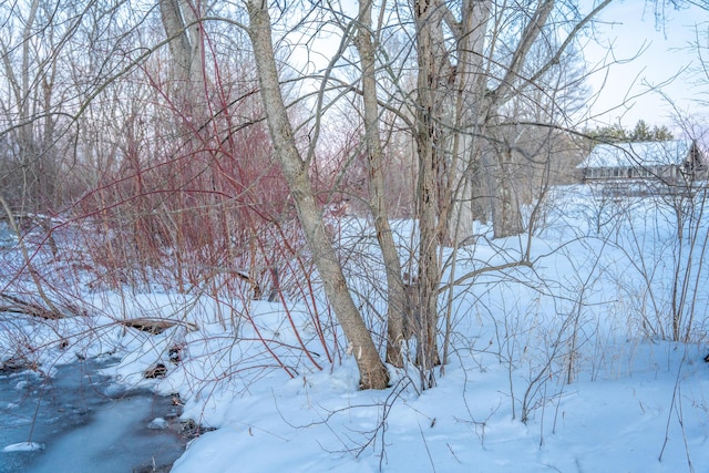 view of snowy landscape