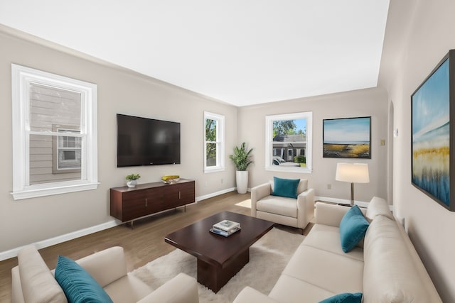 living room featuring light wood-type flooring