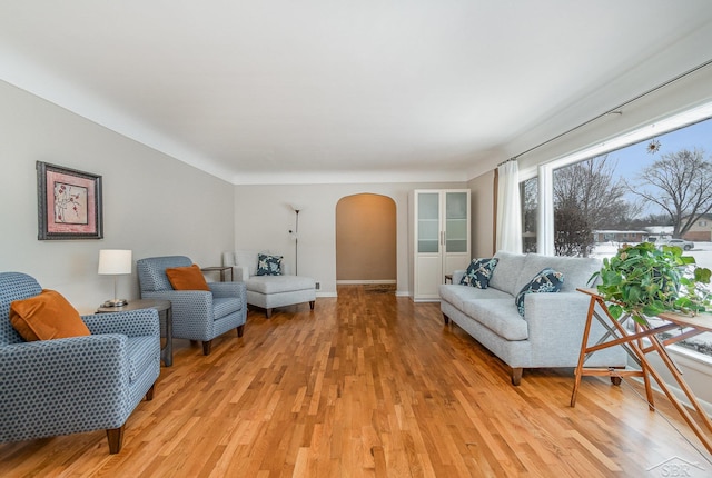 living room featuring light hardwood / wood-style flooring