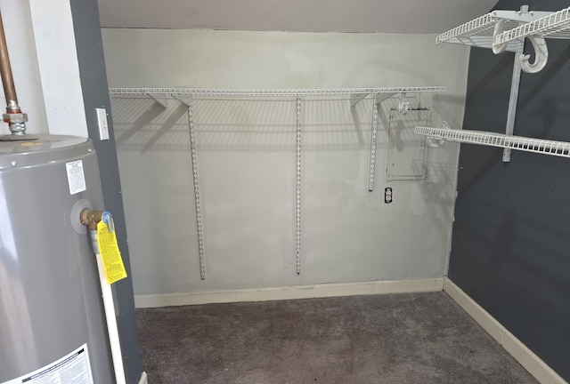 30052 Schoenherr Rd, Warren, MI 48088 - spacious closet with gas water heater and carpet