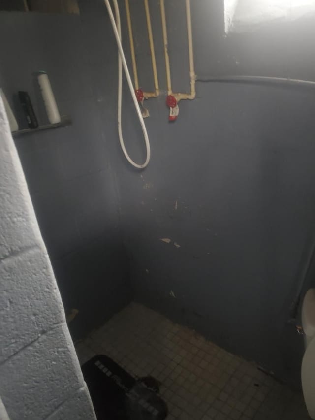 room details with toilet and walk in shower