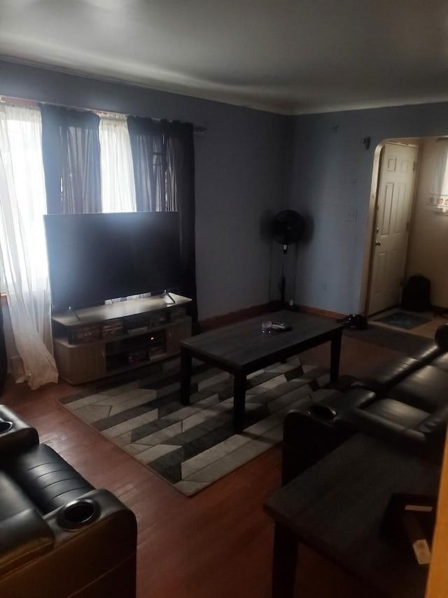 living room with wood-type flooring