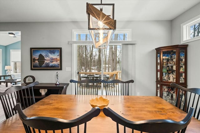 dining space featuring wood finished floors