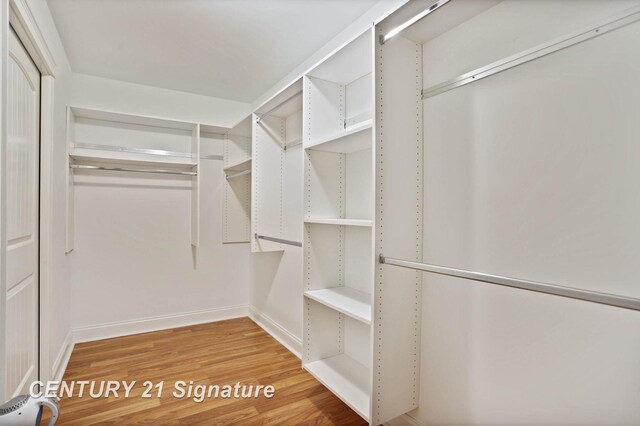 100 Tuscany Cir, Saginaw, MI 48603 - walk in closet featuring wood finished floors