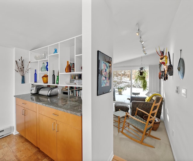 bar featuring dark stone countertops, rail lighting, and a baseboard heating unit