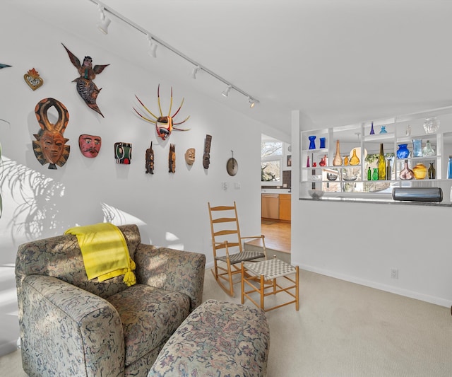 living room featuring light colored carpet and rail lighting