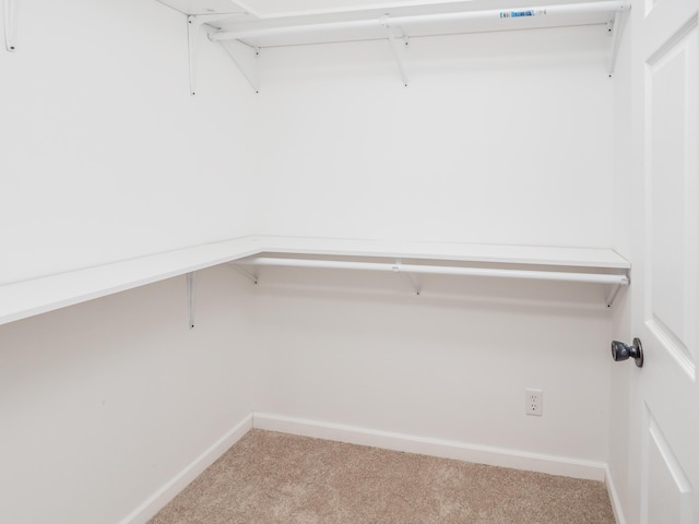 spacious closet featuring light colored carpet