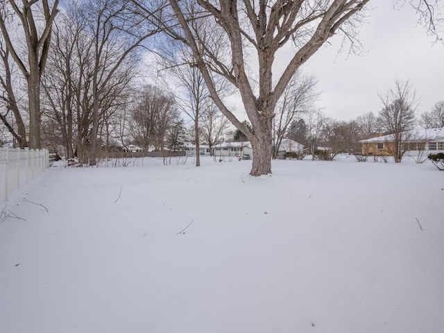 view of snowy yard