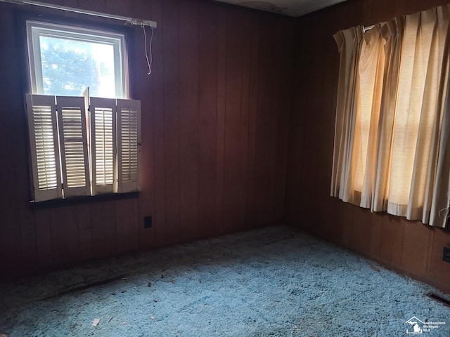 spare room featuring carpet and wood walls