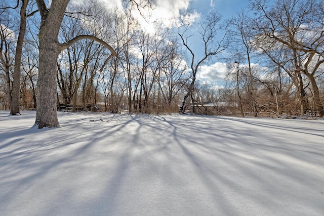 view of yard layered in snow