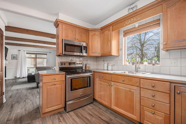 kitchen featuring tasteful backsplash, stainless steel appliances, sink, and hardwood / wood-style flooring