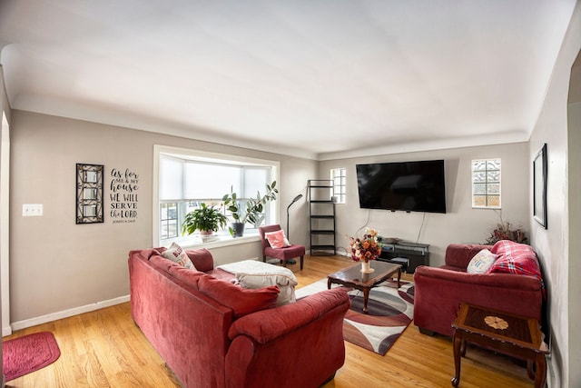 living room with light wood-type flooring