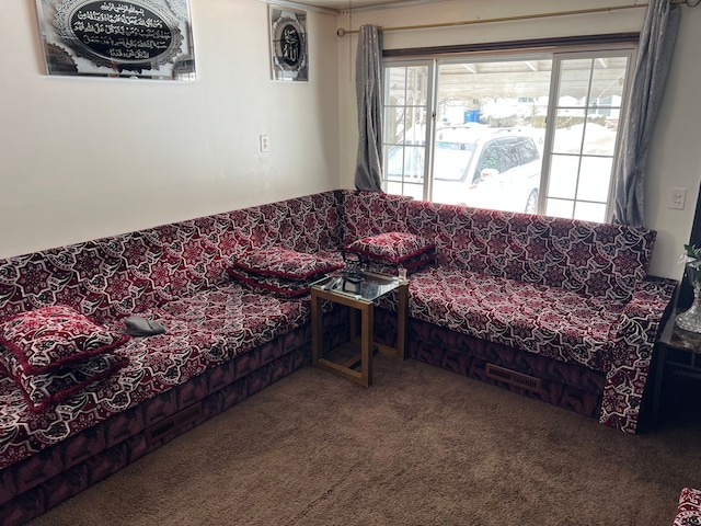 living room featuring carpet floors