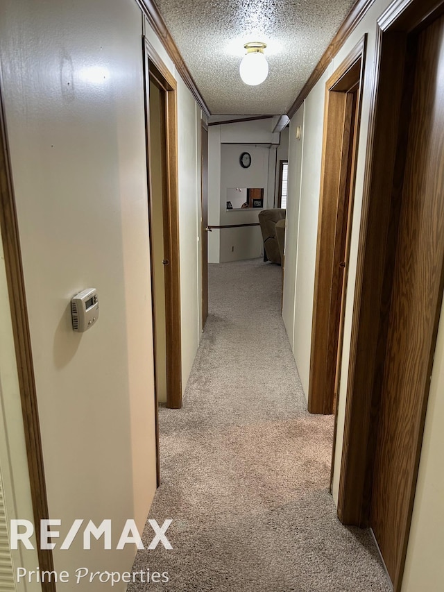 hallway with crown molding, light colored carpet, and a textured ceiling