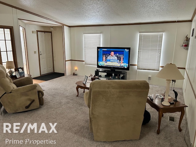 carpeted living room with ornamental molding and a textured ceiling