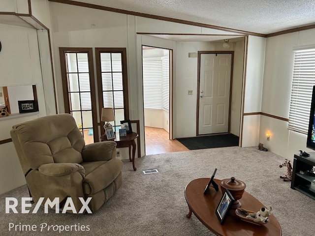 carpeted living room featuring ornamental molding, a healthy amount of sunlight, vaulted ceiling, and a textured ceiling