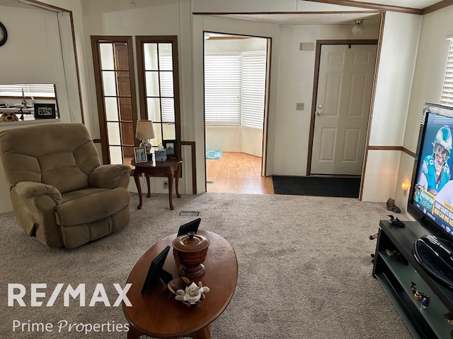 living room with carpet flooring