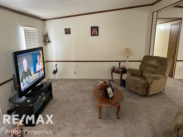 carpeted living room featuring ornamental molding and a textured ceiling