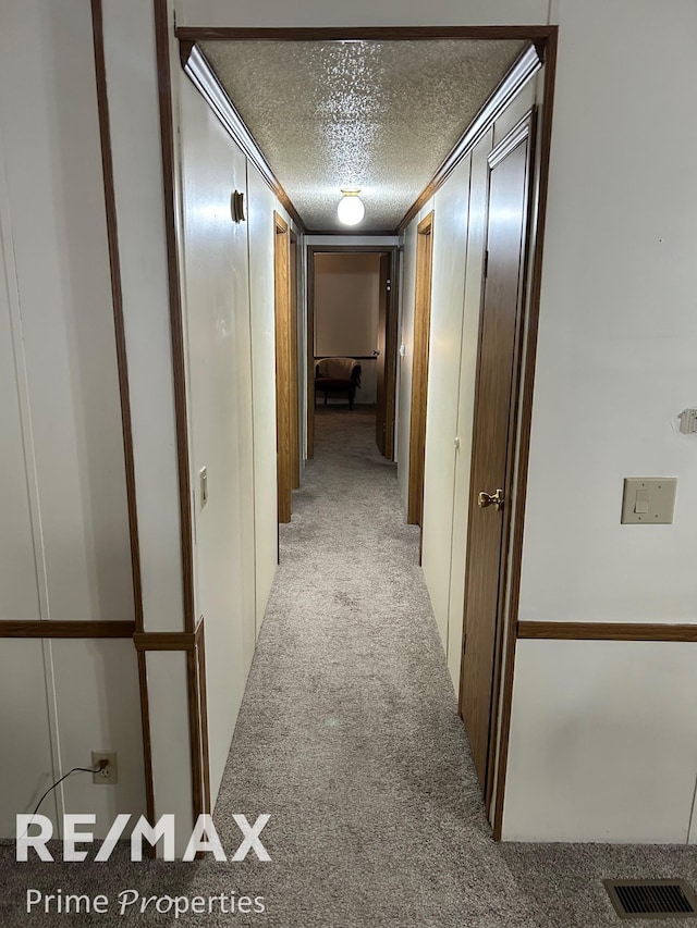 hall featuring light colored carpet and a textured ceiling