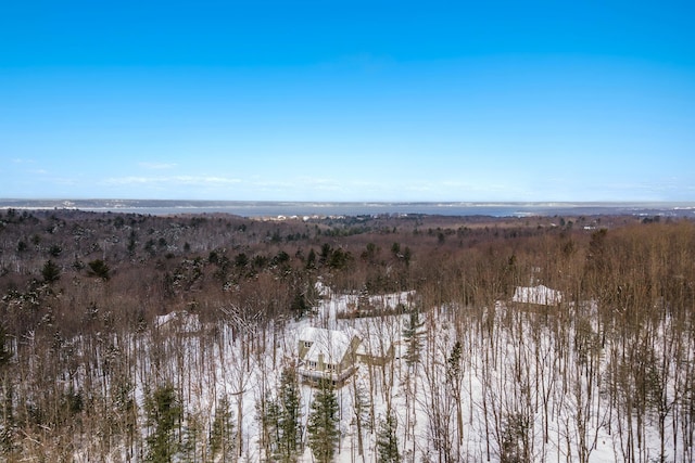 4076 Williamston Ct, Williamsburg, MI 49690