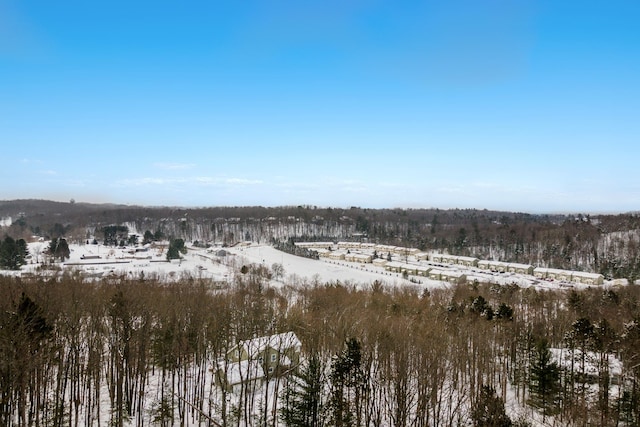 4076 Williamston Ct, Williamsburg, MI 49690