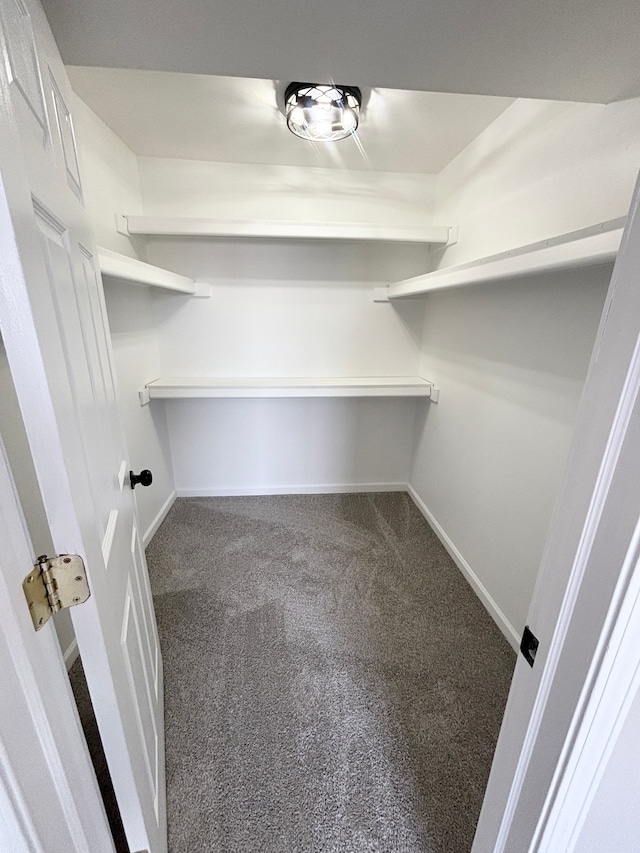 walk in closet with carpet flooring