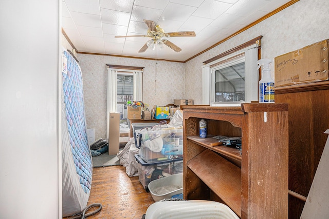 bedroom with ornamental molding, ceiling fan, and wood finished floors