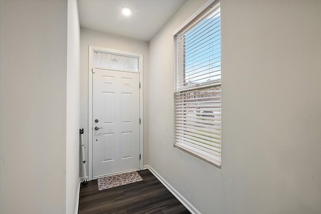 doorway with dark hardwood / wood-style flooring