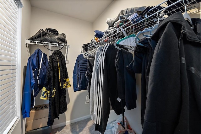 spacious closet with carpet flooring