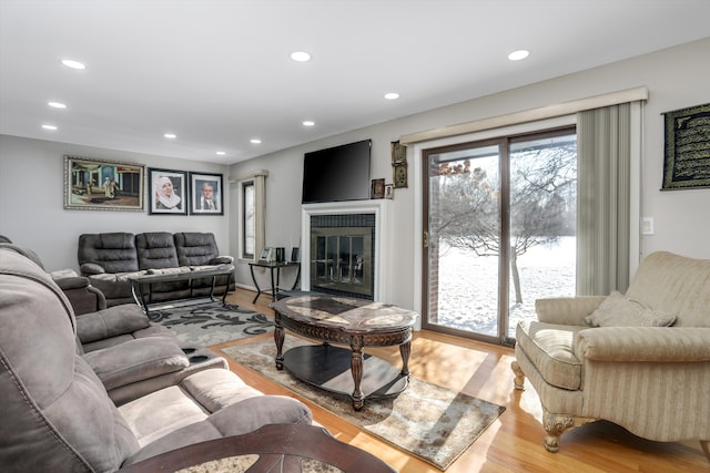 living room with light wood-type flooring