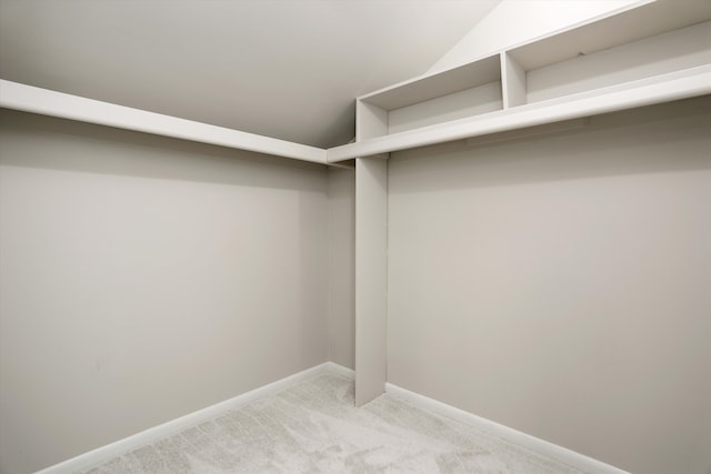 spacious closet with light colored carpet