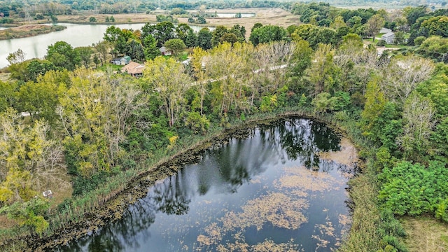 birds eye view of property featuring a water view