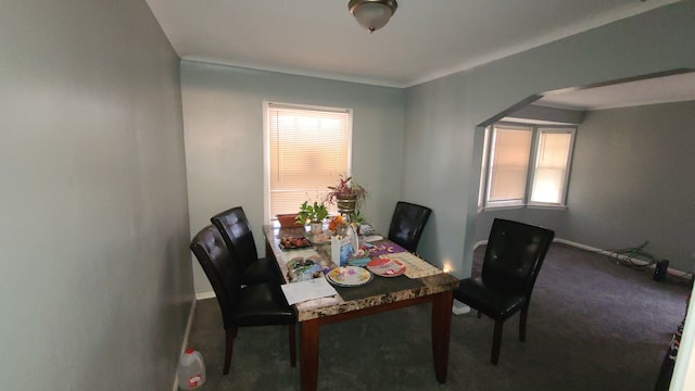 dining space featuring carpet flooring and a wealth of natural light