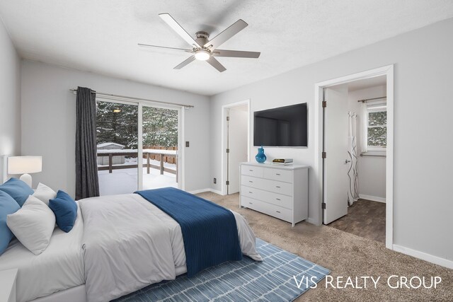 bedroom featuring light colored carpet, access to outside, multiple windows, and baseboards