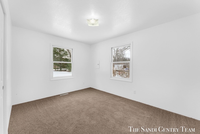 spare room featuring carpet flooring