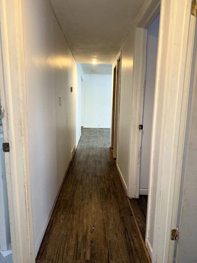 hallway featuring dark hardwood / wood-style floors