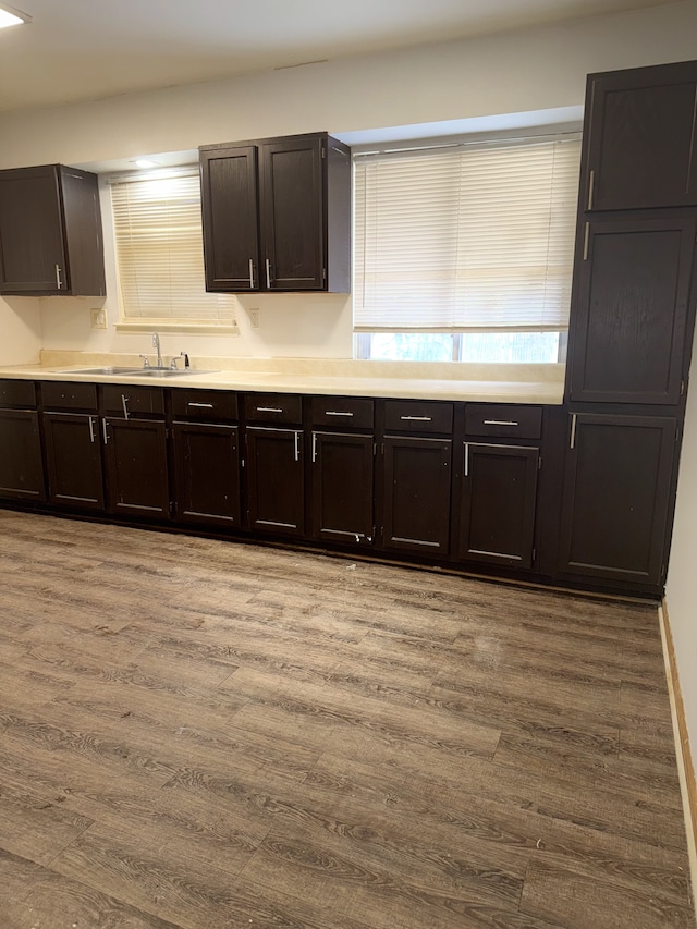 kitchen featuring dark brown cabinetry, sink, and light hardwood / wood-style flooring