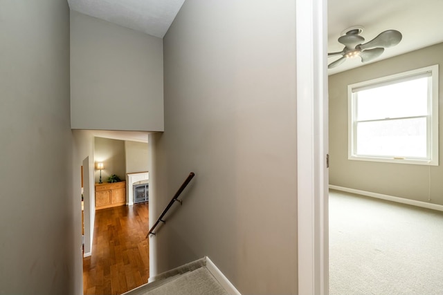 staircase featuring ceiling fan