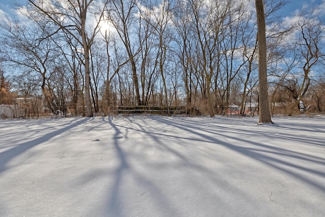 view of yard layered in snow