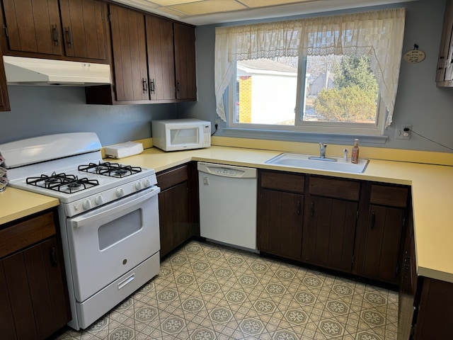 kitchen with dark brown cabinets, sink, and white appliances