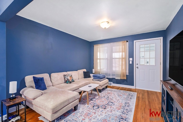 living room with wood-type flooring