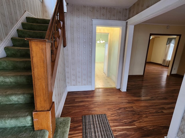 stairway with hardwood / wood-style flooring