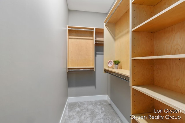 walk in closet featuring carpet